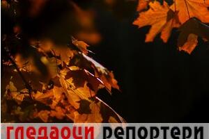 Гледаоци репортери (9. новембар 2022)