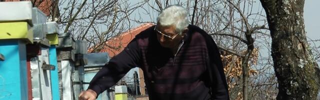 Америка прва у свету одобрила вакцине за заштиту пчела