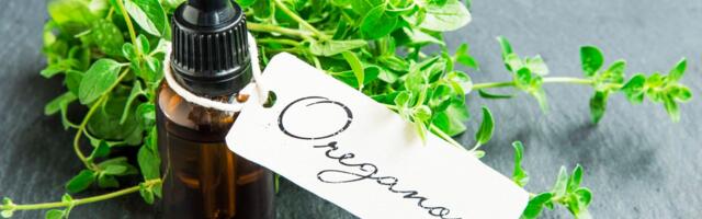 Origano ulje: Prirodni antibiotik
