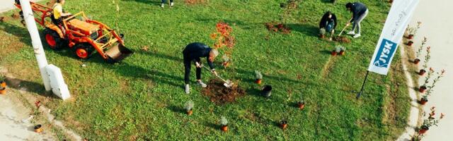 U parkiću u leskovačkom naselju Ančiki zasađeno 130 biljaka