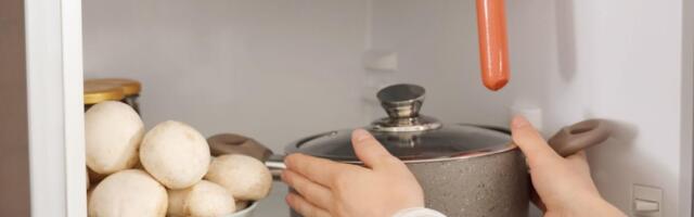 Da li zaista topla hrana ne sme u hladan fižider? Stručnjaci rešili dilemu koja decenijama muči domaćice