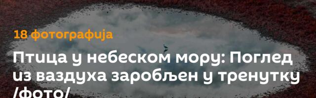 Птица у небеском мору: Поглед из ваздуха заробљен у тренутку /фото/