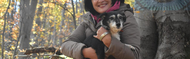 Šta novim Pravilnikom o zabrani prustupa Prihvatilištu pokušava da prikrije RJ „Zoohigijena“: – kad napušteni psi utihnu