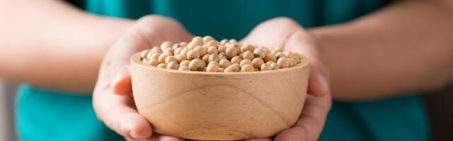 Nije samo zamena za meso: Naučnici otkrili da ovaj protein iz soje snižava holesterol skoro kao lekovi