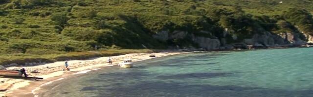 Пронађена нова врста лептира у Русији