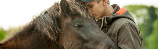 Luka grad zamenio selom zbog strasti prema konjima: "Kad napunim štalu, na red dolazi kuća"