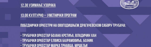 Митровдан у Вичи