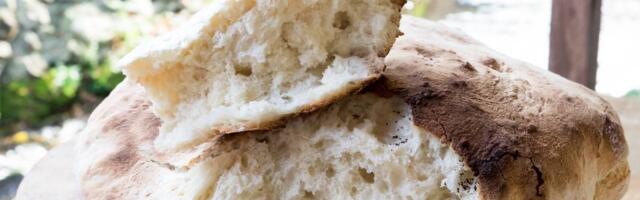 Pogača sa kačkavaljem, mekana i preukusna, a recept nikad jednostavniji