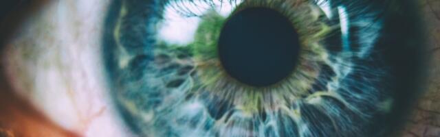 Svi ljudi plavih očiju potiču od identičnog predaka iz davnina