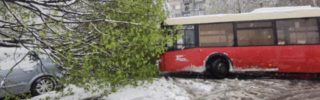 Drvo zamalo palo na autobus pun putnika (VIDEO)