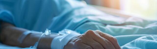 PACOV PRENEO HEPATITIS NA ČOVEKA! Drama u gradu, evo koje je simptome imao