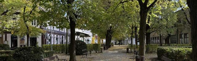 Opština ostaje bez mladih: Novi Bečej objavio dokument koji otkriva ozbiljne probleme