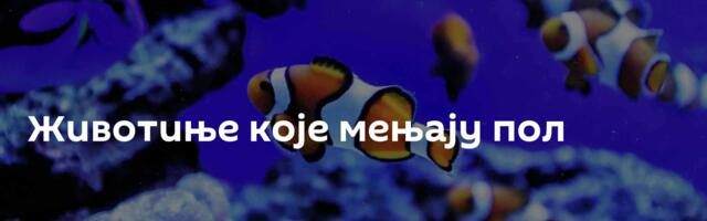 Животиње које мењају пол