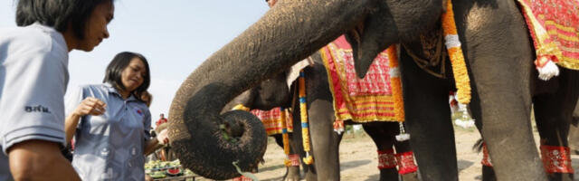 Министарство спољних послова Тајланда препоручило је смањење боравка без визе