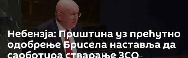 Небензја: Приштина уз прећутно одобрење Брисела наставља да саоботира стварање ЗСО