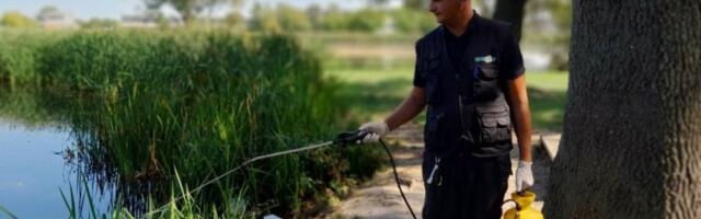 Pazite kako vadite krpelja - Ove greške svi pravimo, a posledice su fatalne