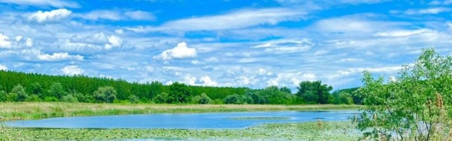 "Odbranili smo Revu, sada treba utvrditi odgovornost"