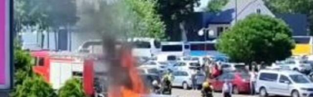 Požar na Sajmu, izgoreo parkirani automobil (VIDEO)