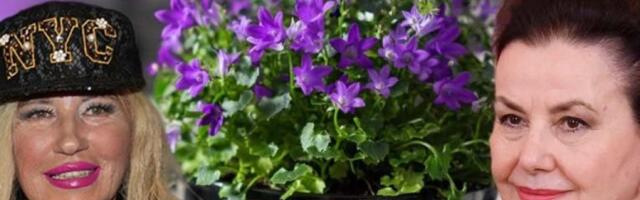 NADA TOPČAGIĆ NAZVALA SNEŽANU SAVIĆ SAKSIJOM! Pevačica bez dlake na jeziku oplela po glumici!