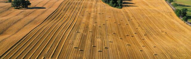 Glamočić: Srbija i Kina počinju saradnju u oblasti aero-svemirskih tehnologija