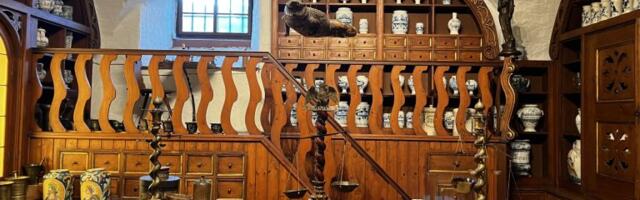 Pluća od lisice, pulverzirana mumija i zmijska koža: Kako jedan muzej razotkriva dva milenijuma istorije farmacije i lekova koje danas koristimo