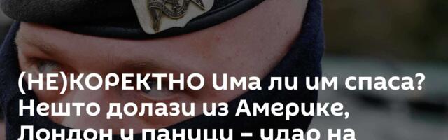(НЕ)КОРЕКТНО Има ли им спаса? Нешто долази из Америке, Лондон у паници – удар на Приштину са Ловћена