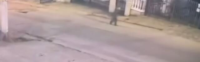 Otkriveno šta je dečak (6) iz Niša radio dva i po sata van kuće! Oglasio se vlasnik hostela u kom je pronađen