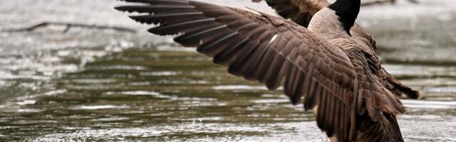 Devojčica (12) upala u zaleđeno jezero, prolaznici je čuli kako vrišti u vodi: Nevreme pravi haos u Nemačkoj