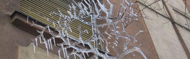 Inspekcije postavljaju trake upozorenja oko javnih objekata po Novom Sadu - zbog snega koji se topi