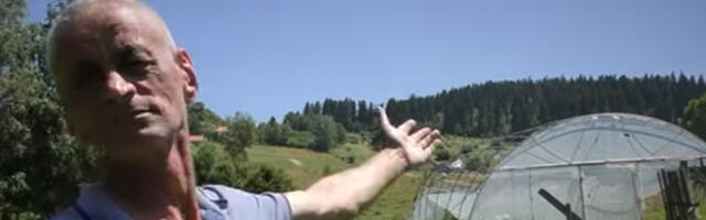 Mit o “ukletoj šumi” na Pešteru: Priča se da oni koji iz nje iznesu drva čeka Božija kazna i nesreća