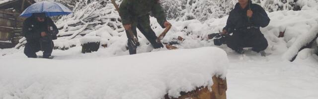 Poslednji Mohikanci na bregovima Sijarine u Slikama života, nedelja 15.15h