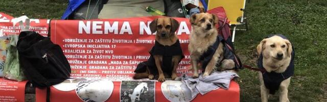 Borba Ivana R. Ivanovovića: Kućica za pse ispred Predsedništva