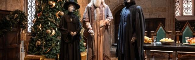 Glumac iz "Hari Potera" dobija pretnje smrću: "Niko ne bi trebalo da prolazi kroz ovo"