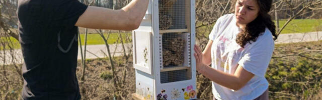 Pet škola, 620 učenika i kilometar polinatorskih traka: Završen projekat „Zajedno pčelama na dar“