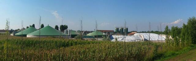 Srbija baca energetsko blago? Najveća energetska rezerva nije pod zemljom, već na farmama širom Srbije