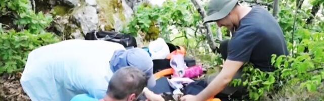 Prvi put satelitski obeležen mladunac surog orla