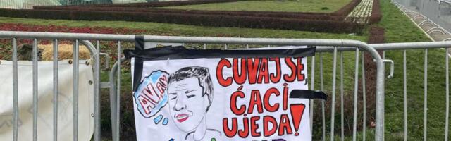 Ko je „ćaci” i čemu taj termin služi?