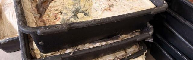 Veoma opasno, da li ste kupili ovo meso? Zaraženo je trihanelom, uhapšeni veterinar i vlasnik firme iz Pančeva