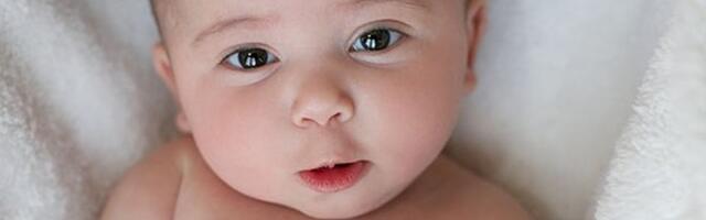 U Novom Sadu za jedan dan rođeno 25 beba