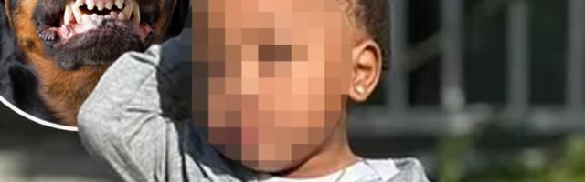 UŽAS! Rotvajleri rastrgli dečaka (2)! DADILJA SPAVALA DOK SE U DVORIŠTU ODVIJAO HOROR!