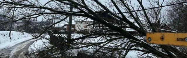 Iz Elektrodistribucije Srbije tvrde: Sanirana većina kvarova na mreži