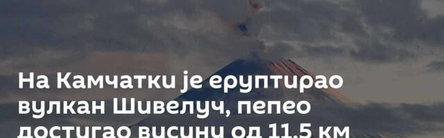 На Камчатки је еруптирао вулкан Шивелуч, пепео достигао висину од 11,5 км