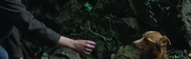 Film „Vetre, pričaj sa mnom“ Stefana Đorđevića u takmičarskim programima festivala u Sopotu i Puli