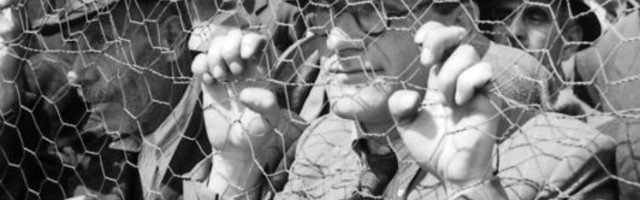 Priča o Holokaustu u okupiranoj Srbiji: Zločin svakog dana, osim nedeljom