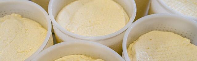 Dva udruženja poljoprivrednika traže reakciju carine na tvrdnje ministra o ilegalnom uvozu sireva