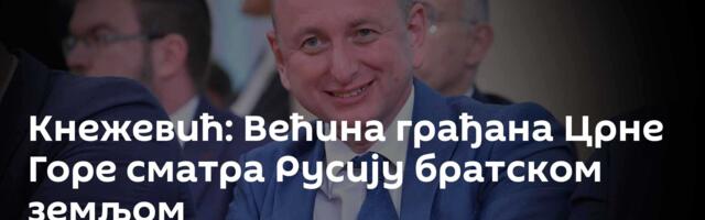 Кнежевић: Већина грађана Црне Горе сматра Русију братском земљом