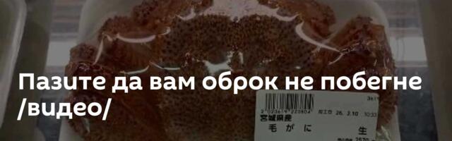 Пазите да вам оброк не побегне /видео/