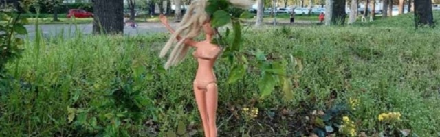 Prolaznici trljaju oči i gledaju u grane: Šta je to?!