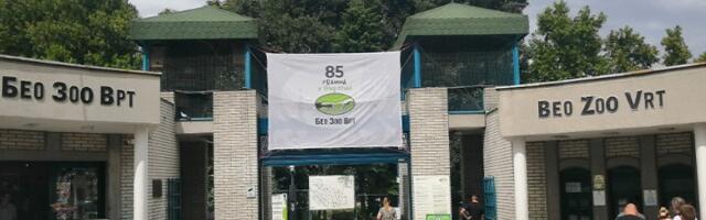 Uginula omiljena slonica Tvigi u Beo zoo-vrtu