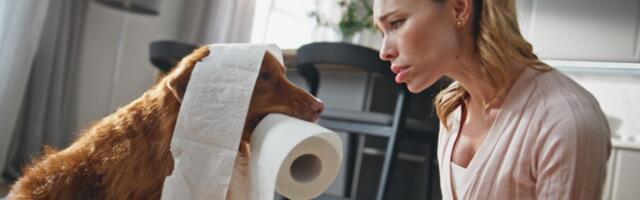 Zašto vaš pas ima običaj da vas prati do kupatila?